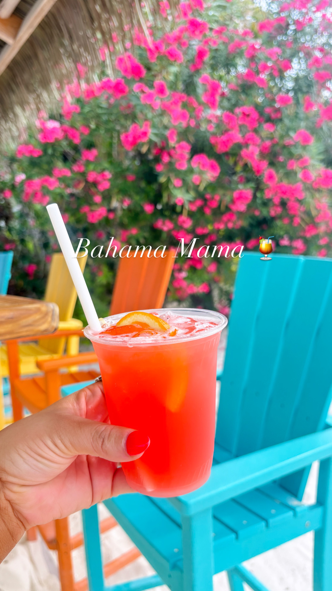 Royal Caribbean Birthday Cruise – Bahamas and Jamaica           🏝️🍹☀️🌺🐷🛳️